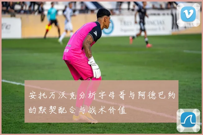 安托万沃克分析字母哥与阿德巴约的默契配合与战术价值
