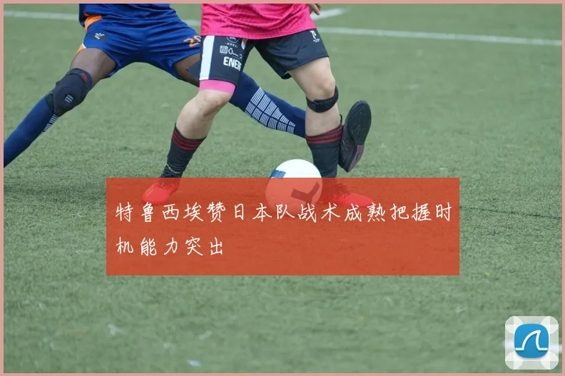 特鲁西埃赞日本队战术成熟把握时机能力突出